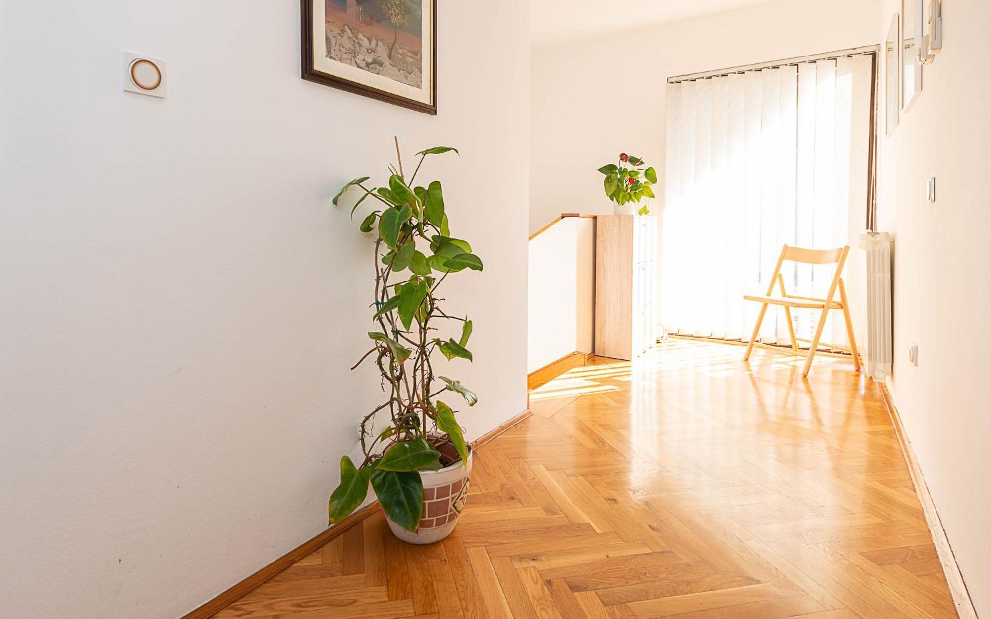 Apartment D&v *